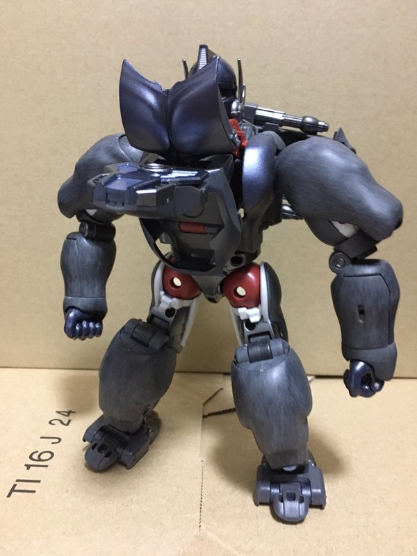 MP 32 Masterpiece Optimus Primal   In Hand Photos Surface On Twitter  (2 of 81)